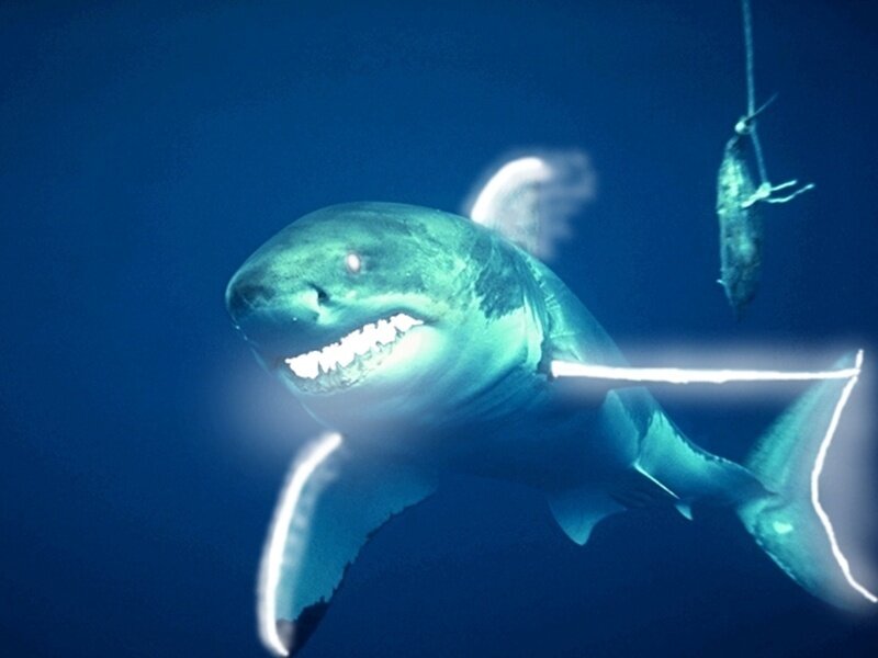 shark with glowing teeth