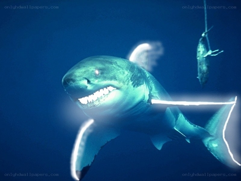 shark with glowing teeth