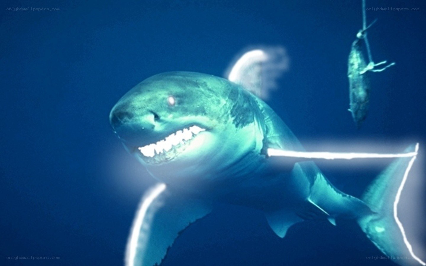 shark with glowing teeth