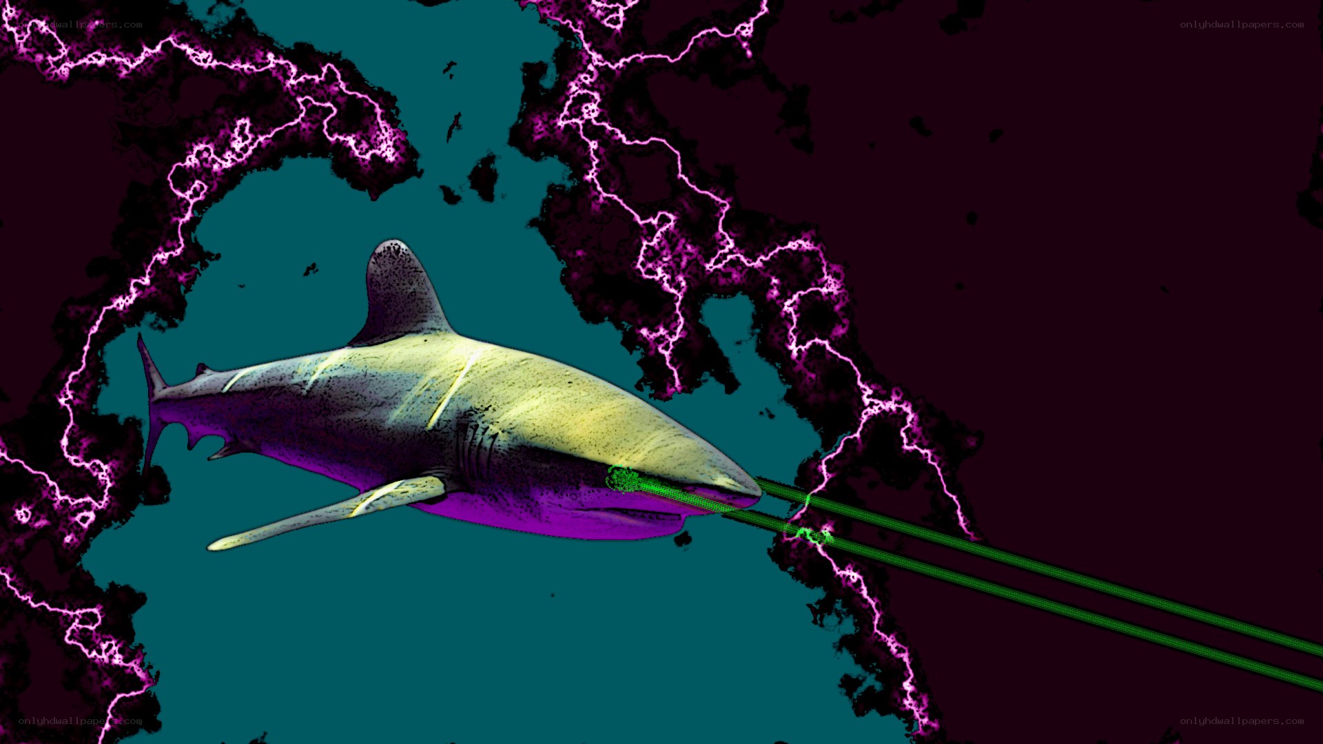 shark with laser beams