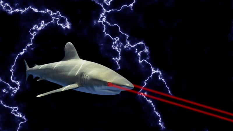 shark with laser eyes