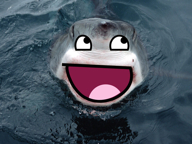 shark with meme face