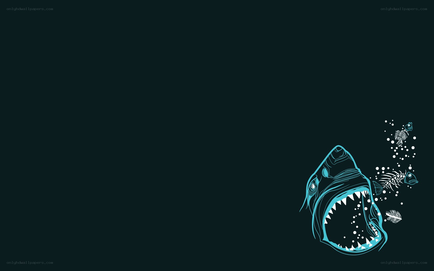 shark with open mouth