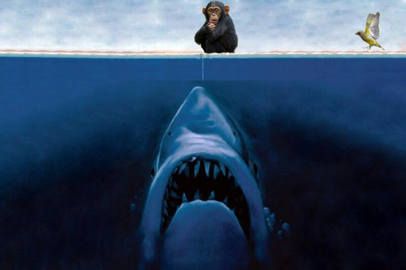 Shark with Open Mouth — Blue, Dramatic, Digital Art, Chimpanzee