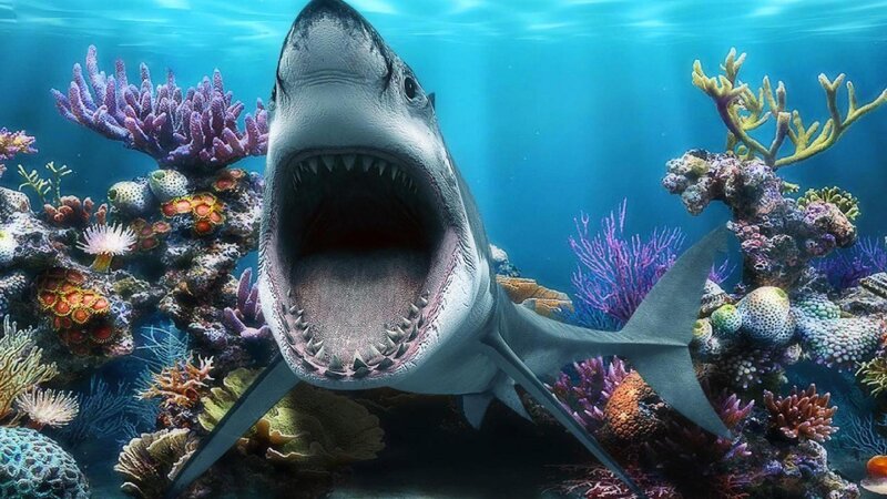 Shark with Open Mouth — Blue, Dramatic, Digital Art, Coral Reef