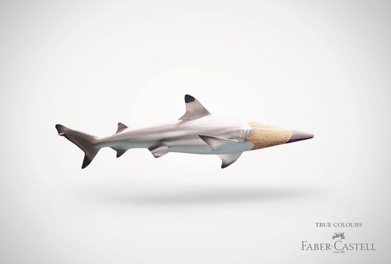 shark with pencil head