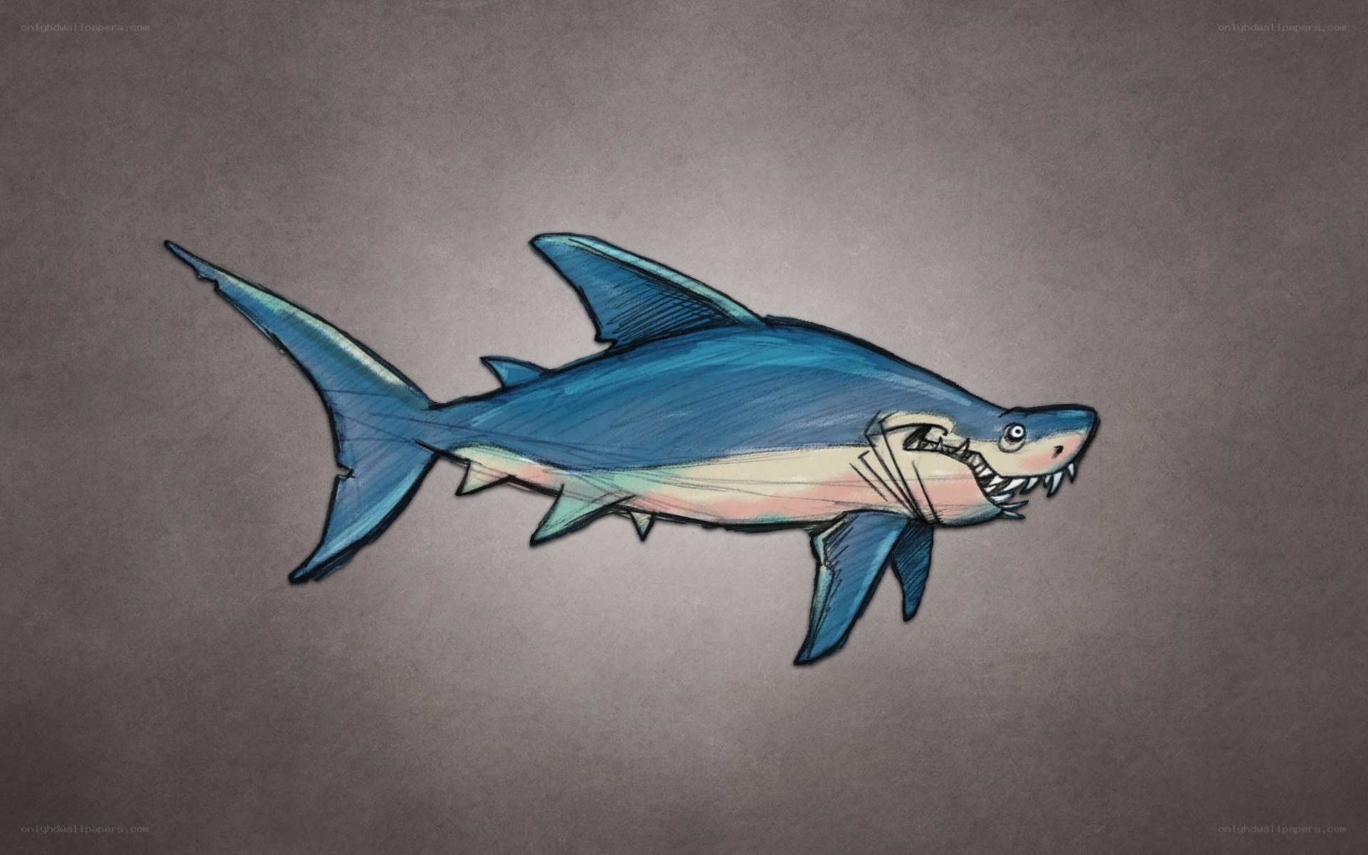 shark with sharp teeth