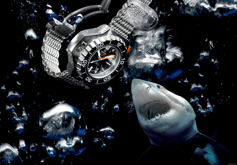 Shark with Watch