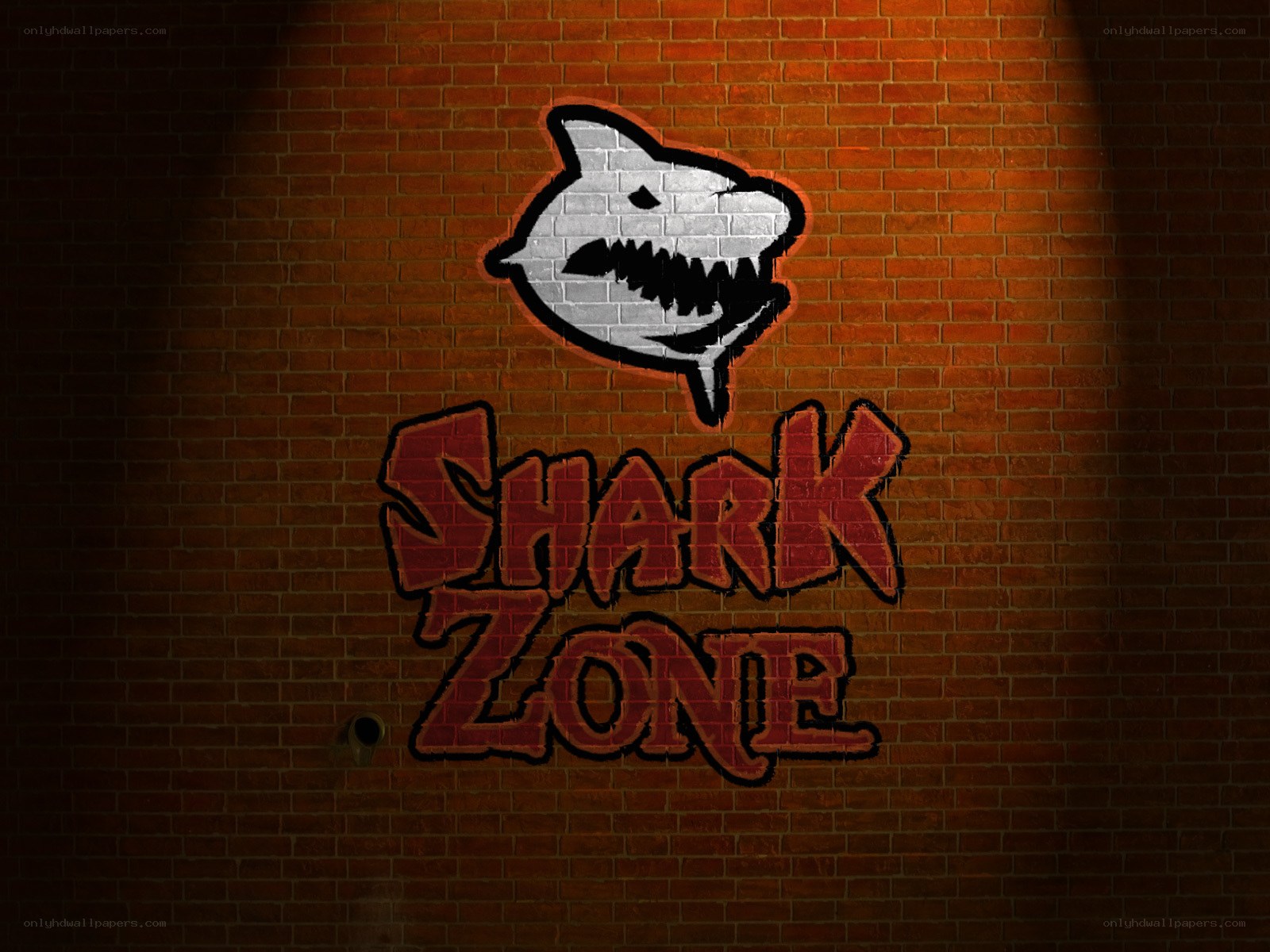 Shark Zone graffiti art