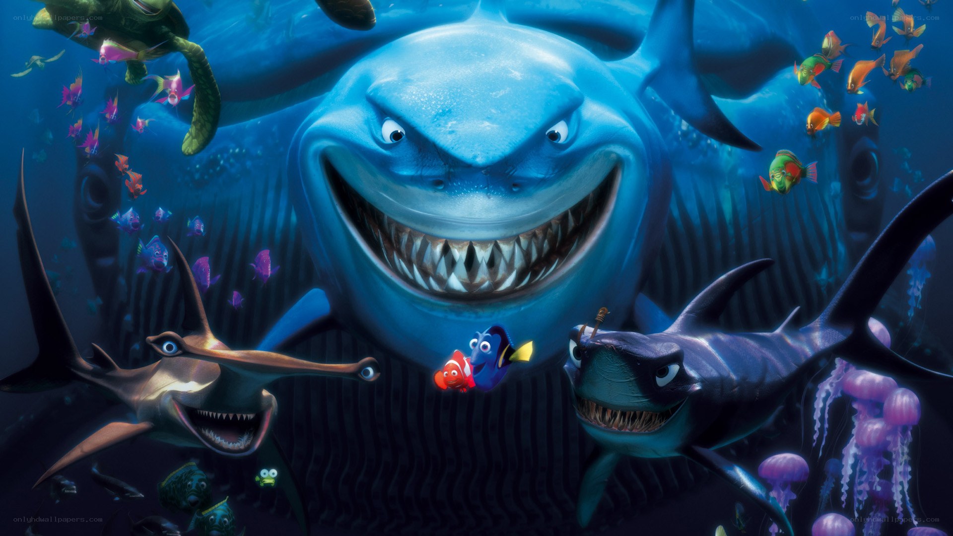 Sharks and fish in ocean