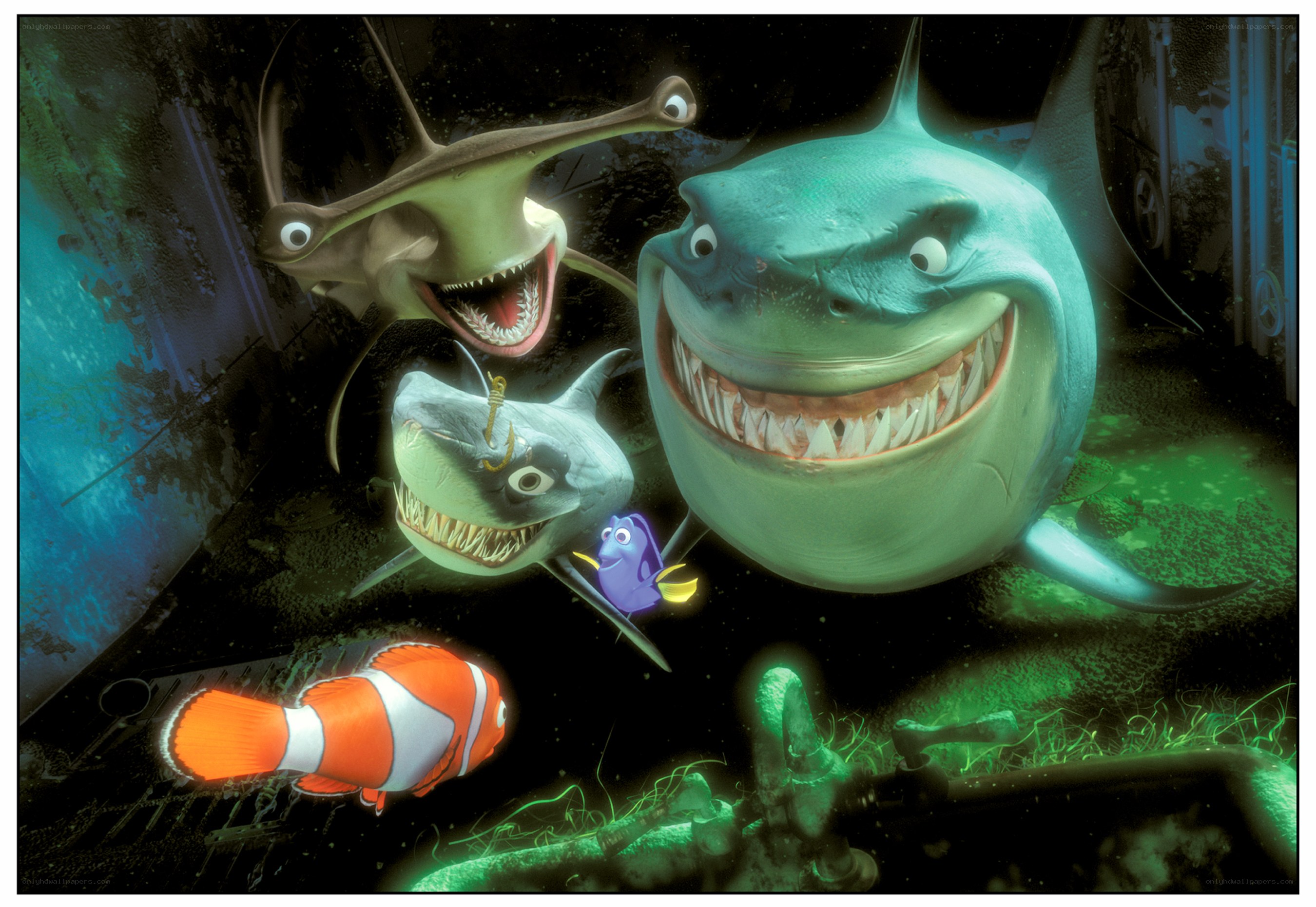 Sharks and fish in sunken ship