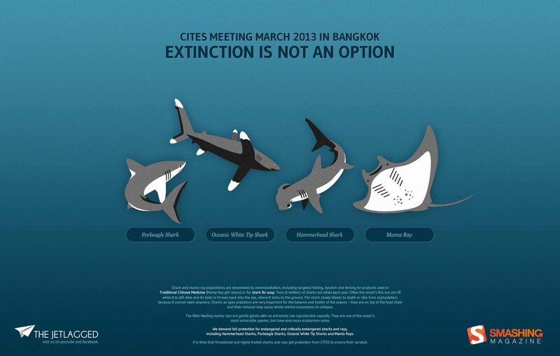 Sharks and Manta Ray