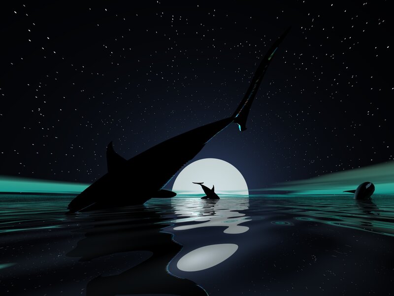 Sharks at night under stars