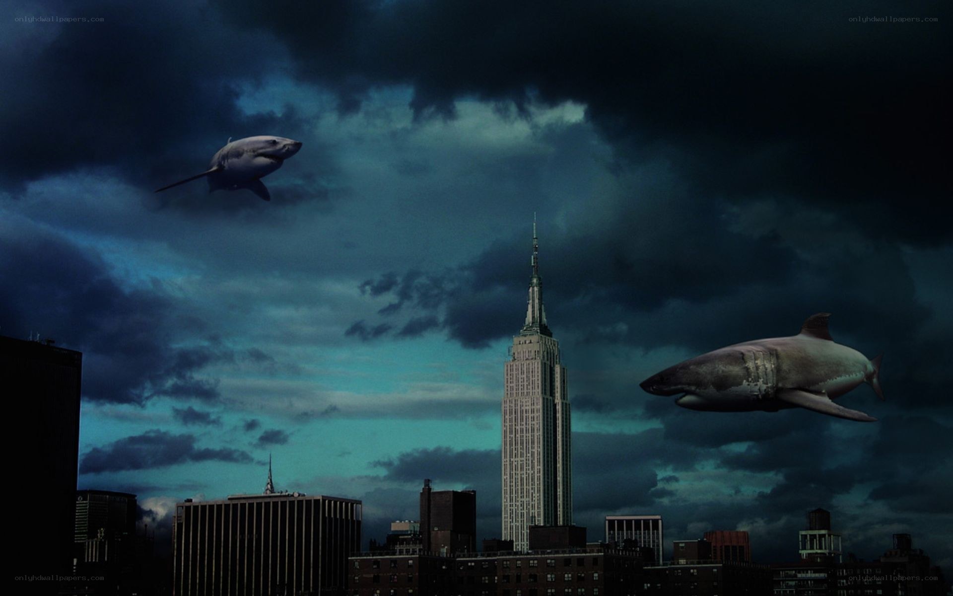 Sharks flying over city