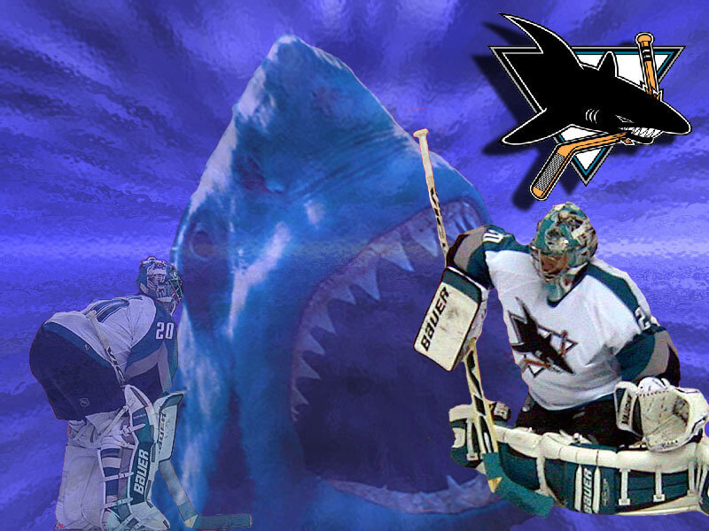 Sharks hockey goalie with shark
