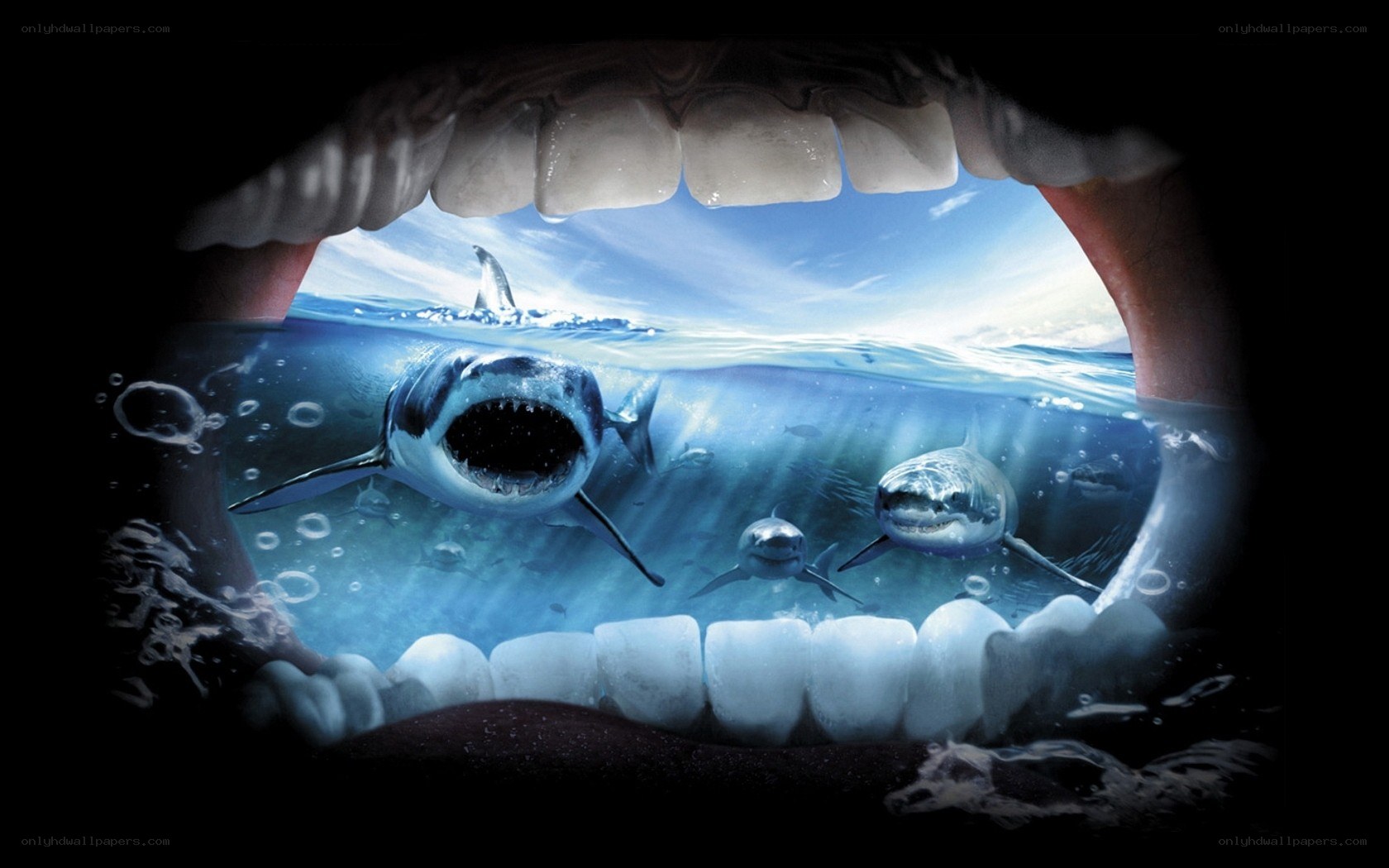 sharks in a mouth