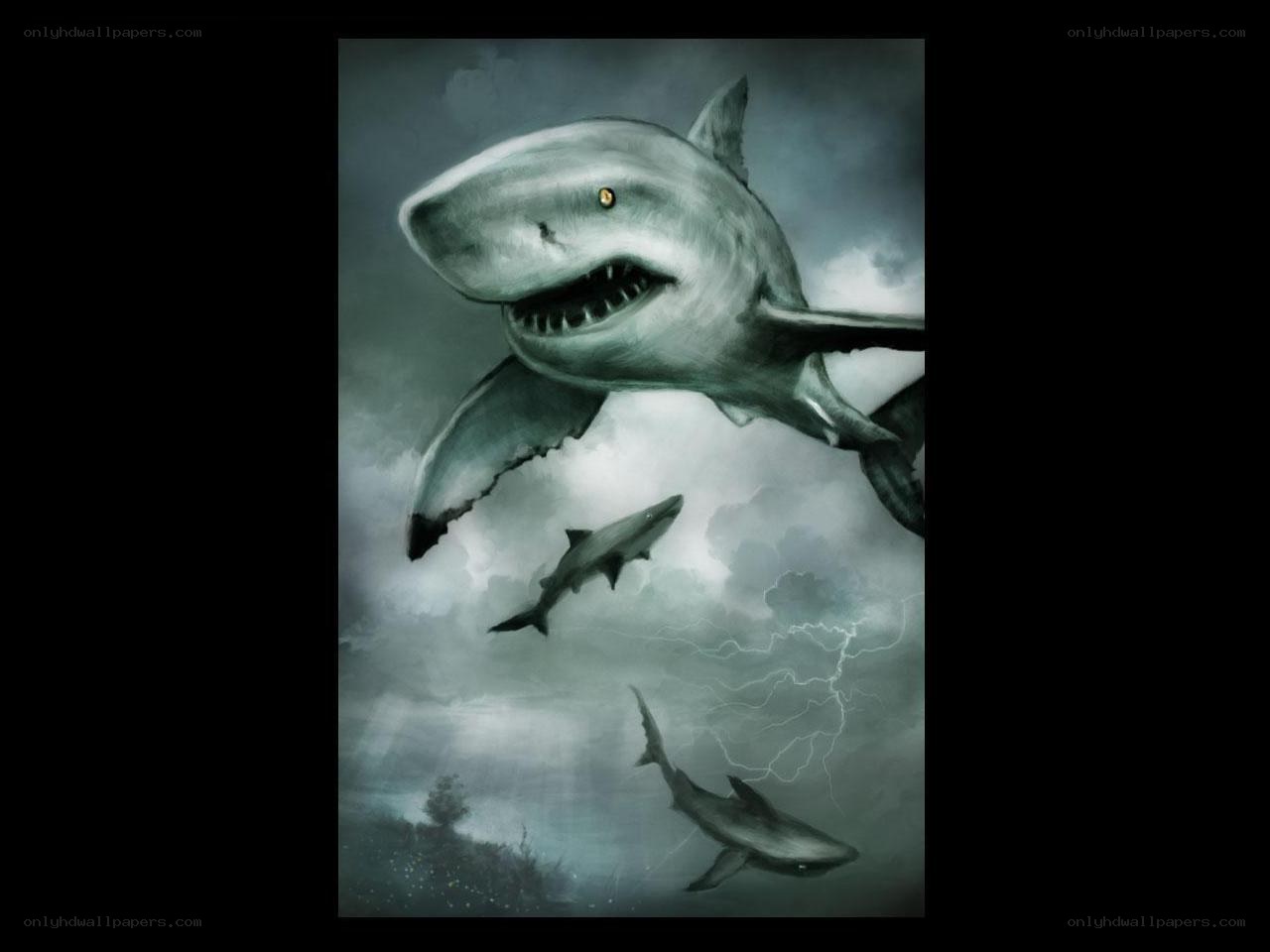 Sharks in a stormy sky