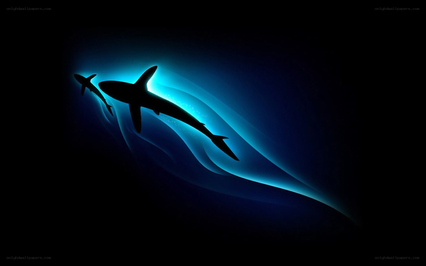 Sharks in blue light