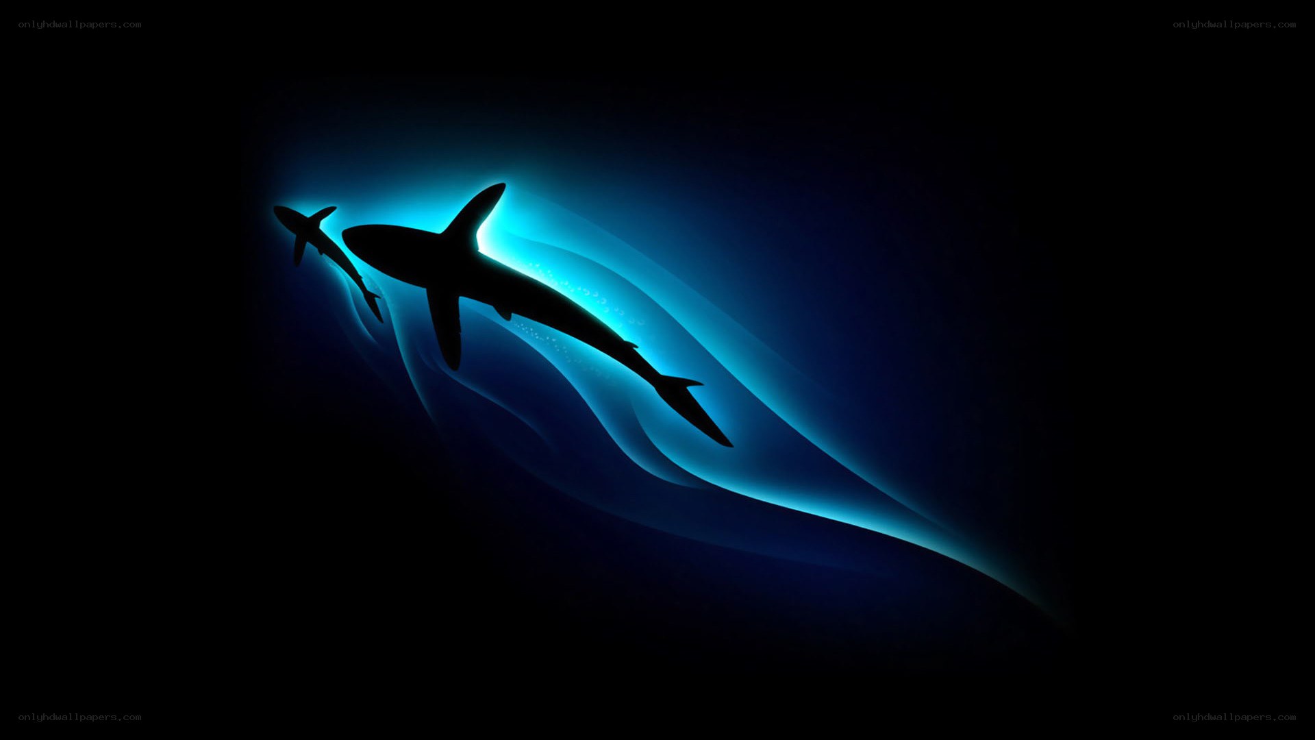 Sharks in blue light