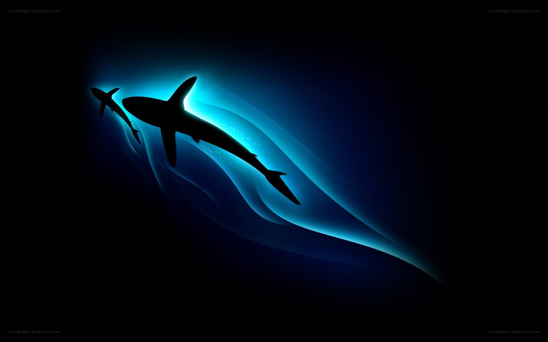 Sharks in blue light