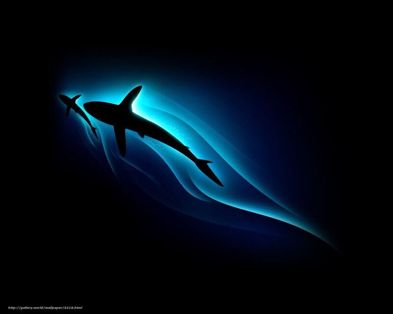 sharks in blue light