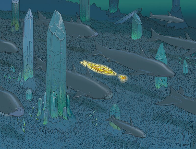 Sharks in Crystal Forest