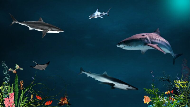 Sharks in Ocean — Blue, Serene