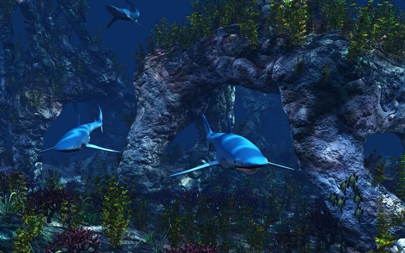 Sharks in underwater cave