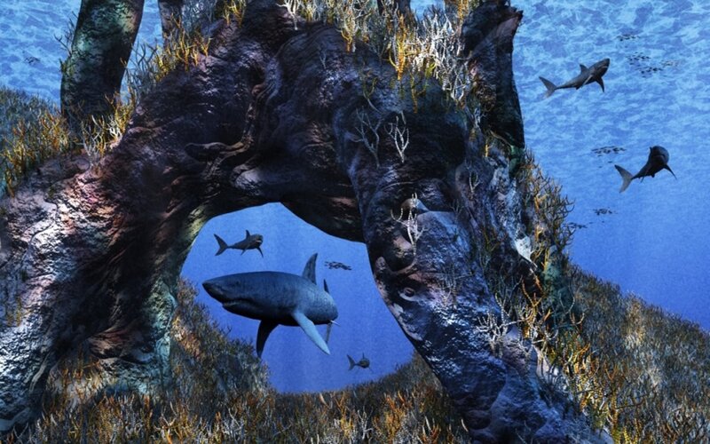 Sharks in underwater cave