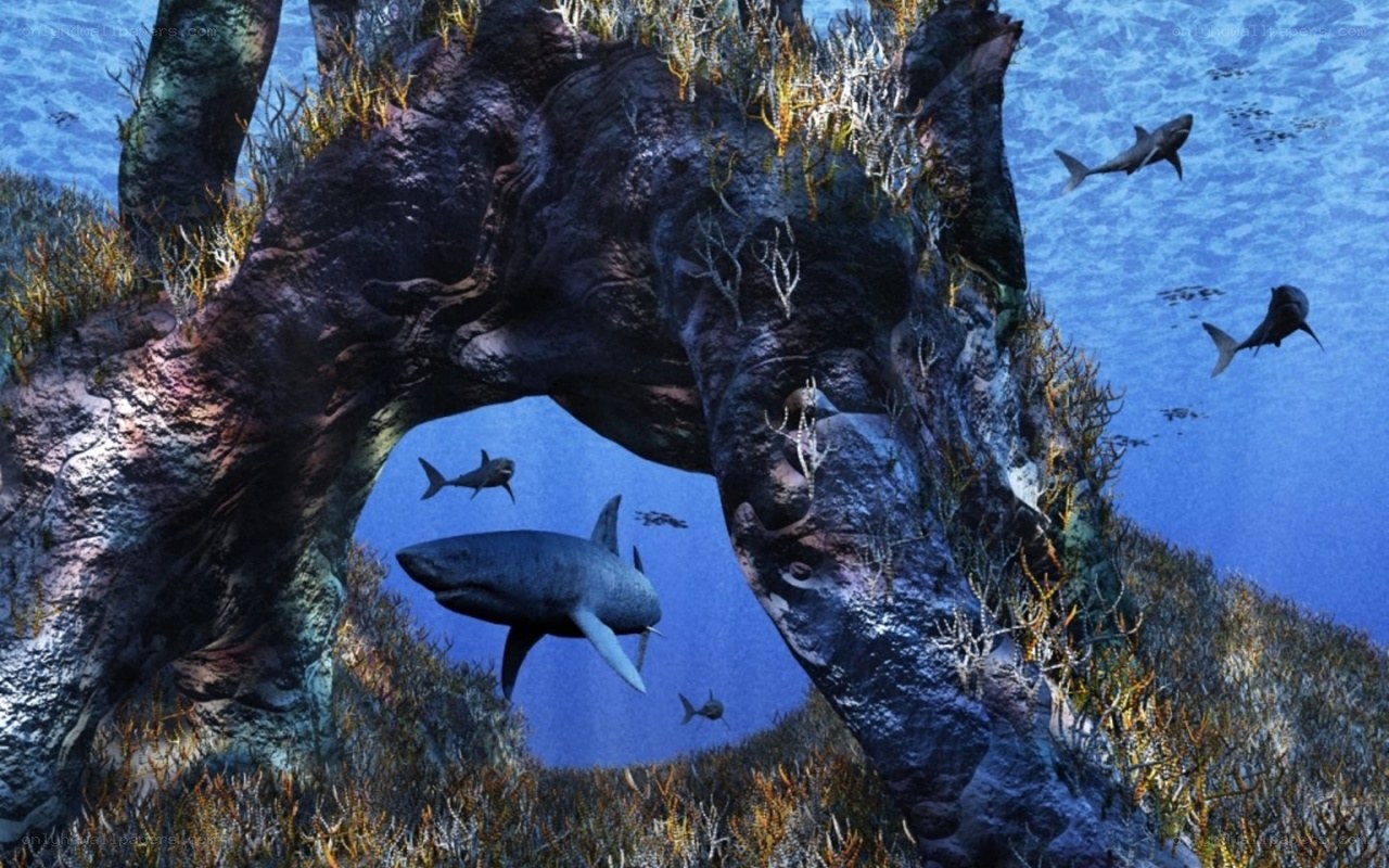 Sharks in underwater cave