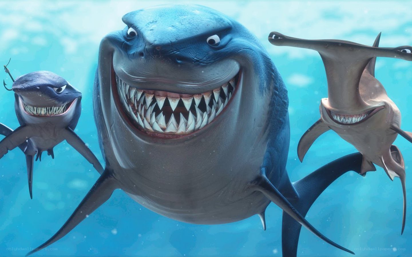 Sharks in underwater scene