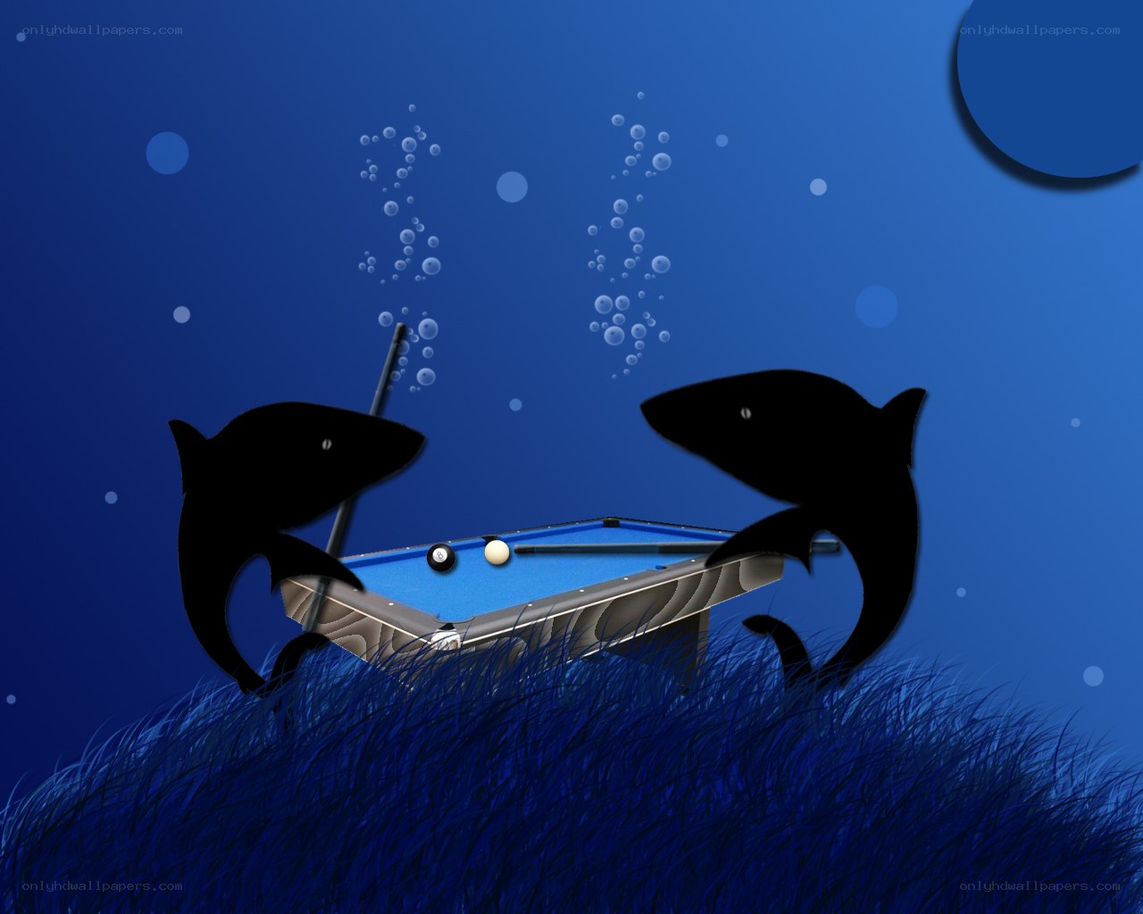 Sharks playing pool underwater