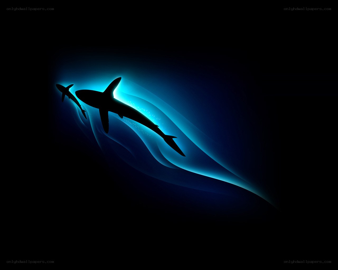 Sharks silhouetted in blue light
