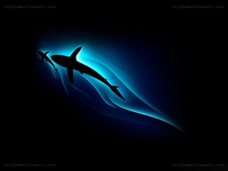 Sharks silhouetted in blue light