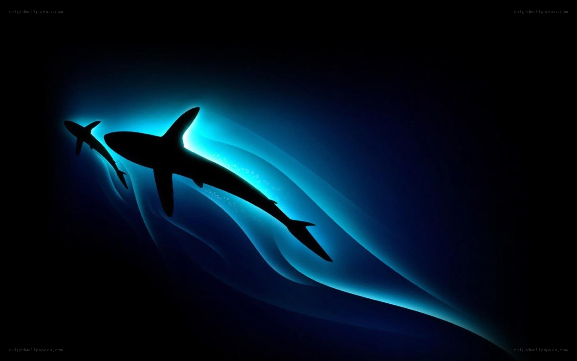 Sharks silhouetted in blue light