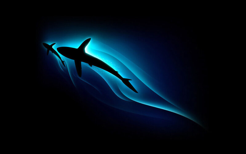 Sharks Swimming in Water — Blue, Dramatic, Night