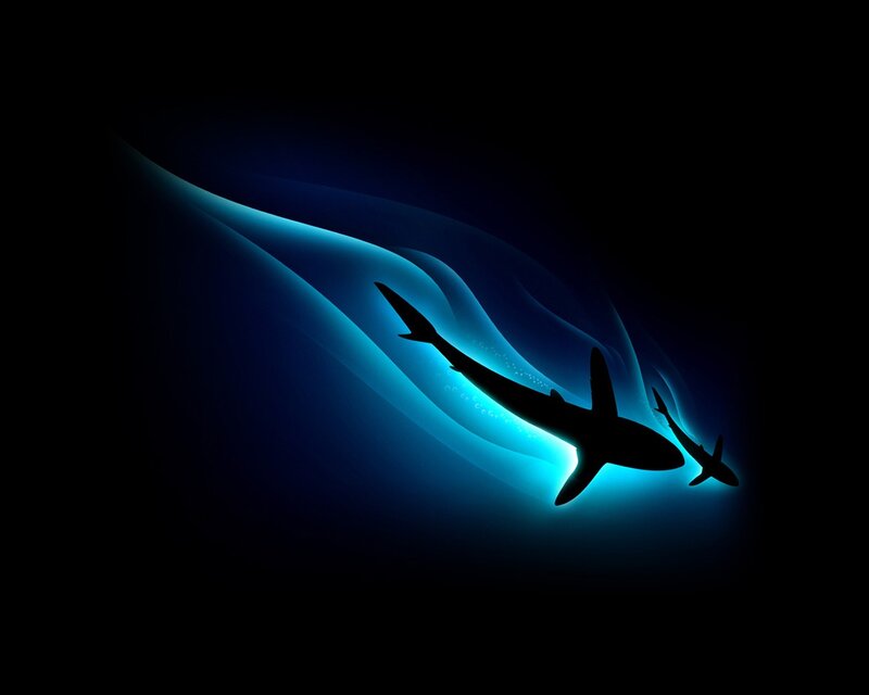 Sharks Swimming in Water — Blue, Dramatic