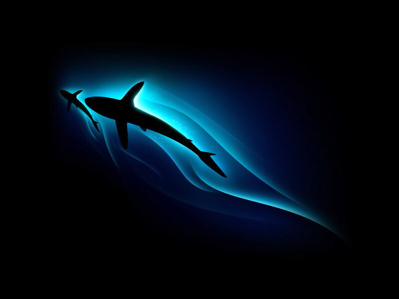 Sharks Swimming Underwater — Blue, Dramatic, Night