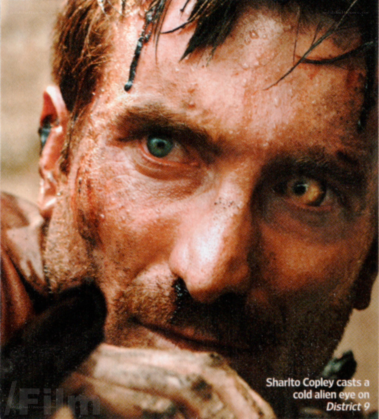 Sharlto Copley in District 9