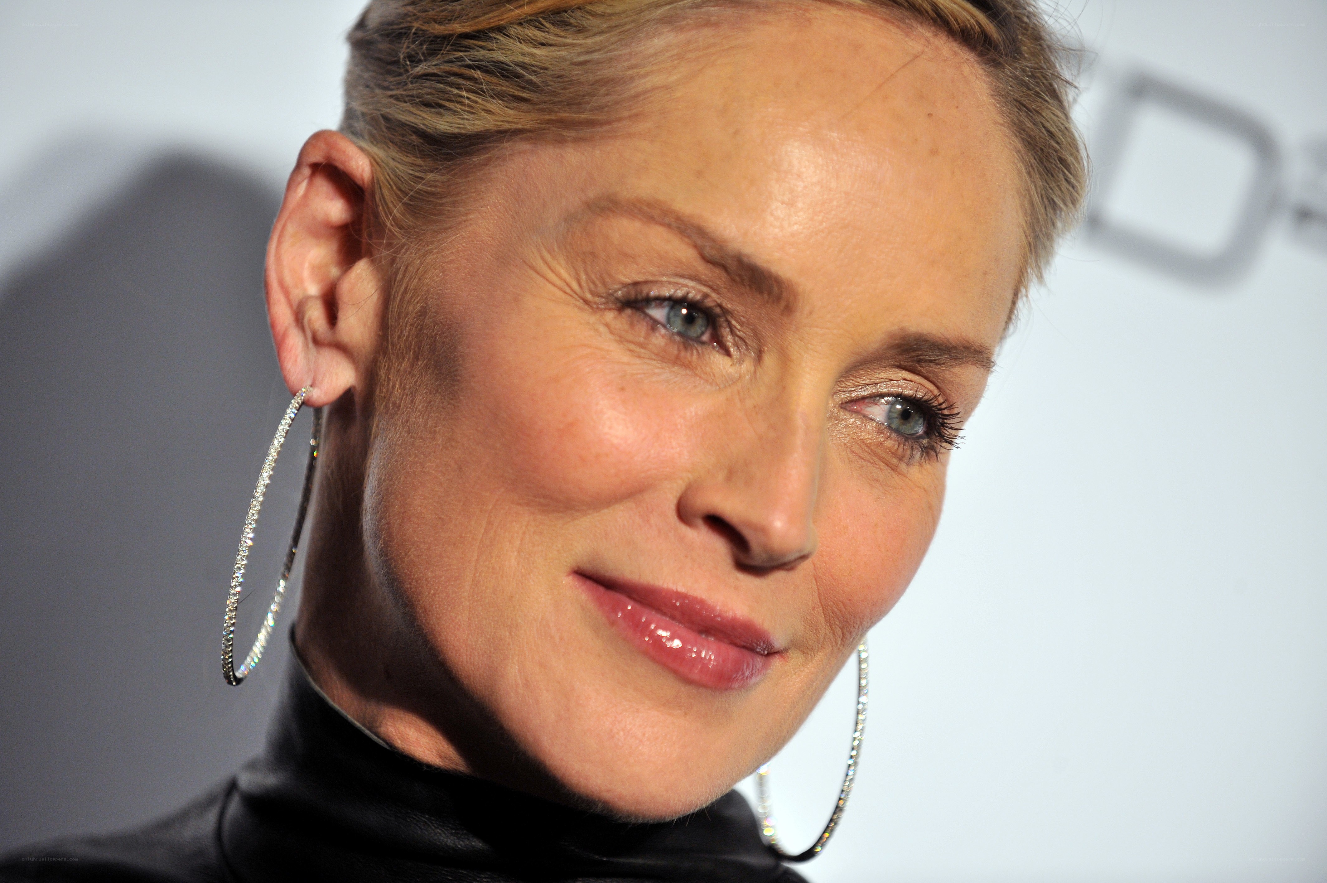 Sharon Stone at event