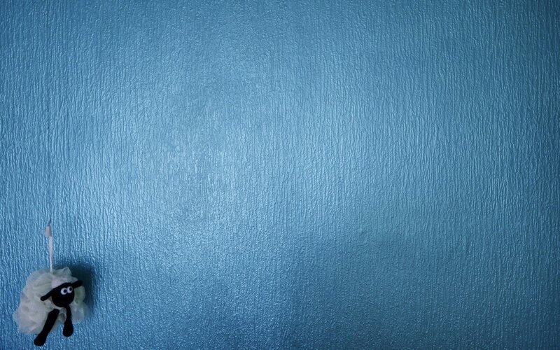 Shaun the Sheep hanging on blue wall