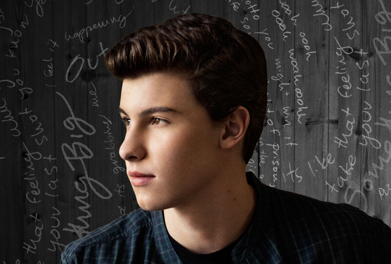 Shawn Mendes portrait