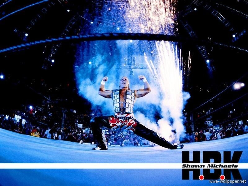 Shawn Michaels in the ring