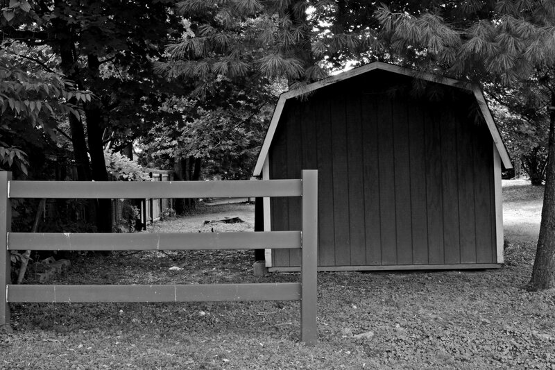 Shed Behind Fence