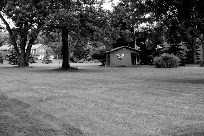 Shed in a Grassy Yard