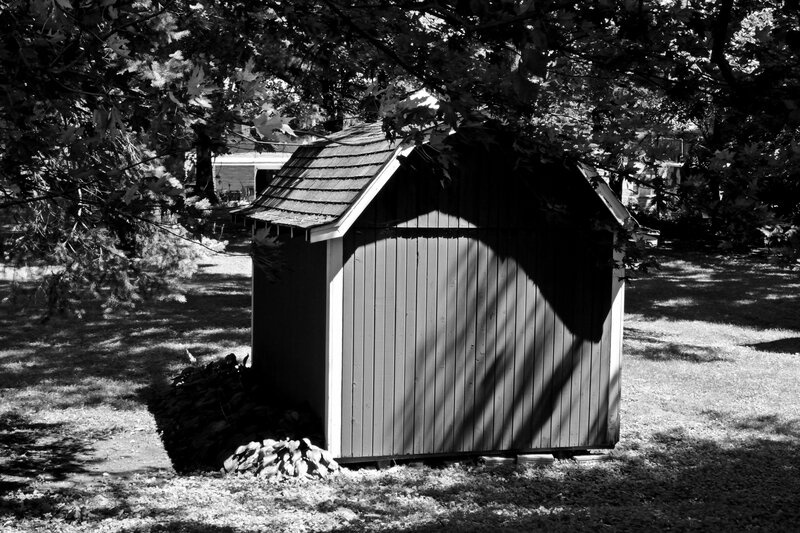 Shed in Backyard — Black