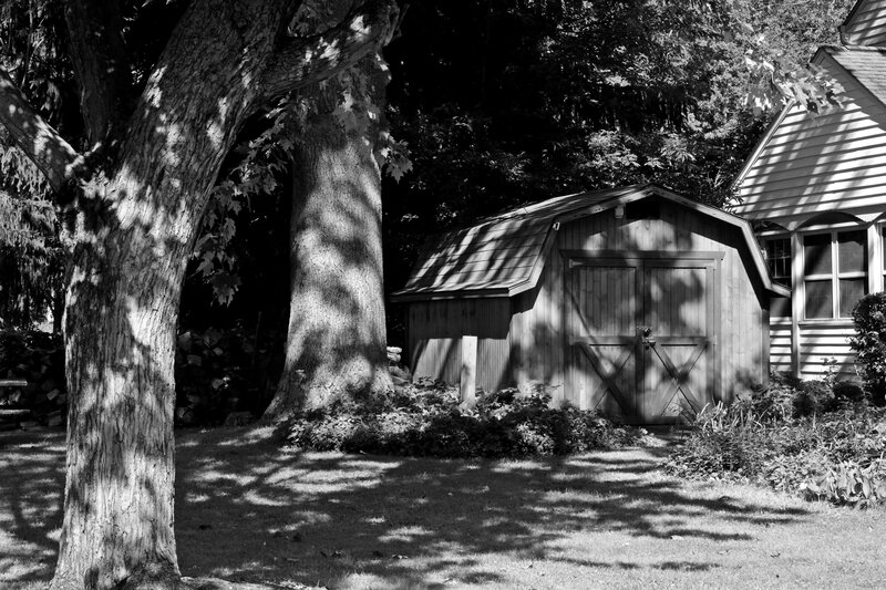 Shed in Backyard