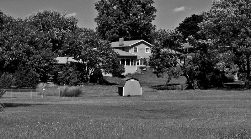 Shed in Grassy Yard