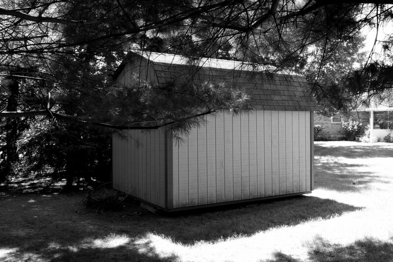 Shed under Pine Tree