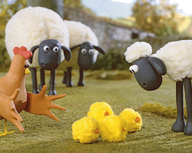 Sheep and Chicks in Field